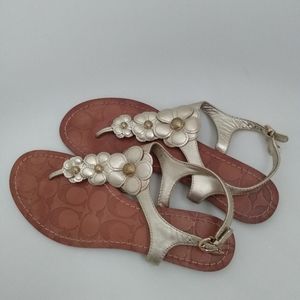 Coach sandals